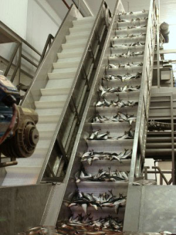 Meat and Seafood industry